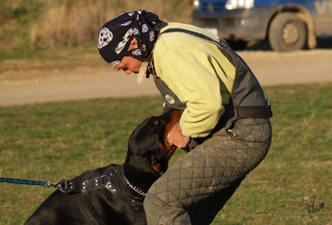 Training in Prague 3/2007